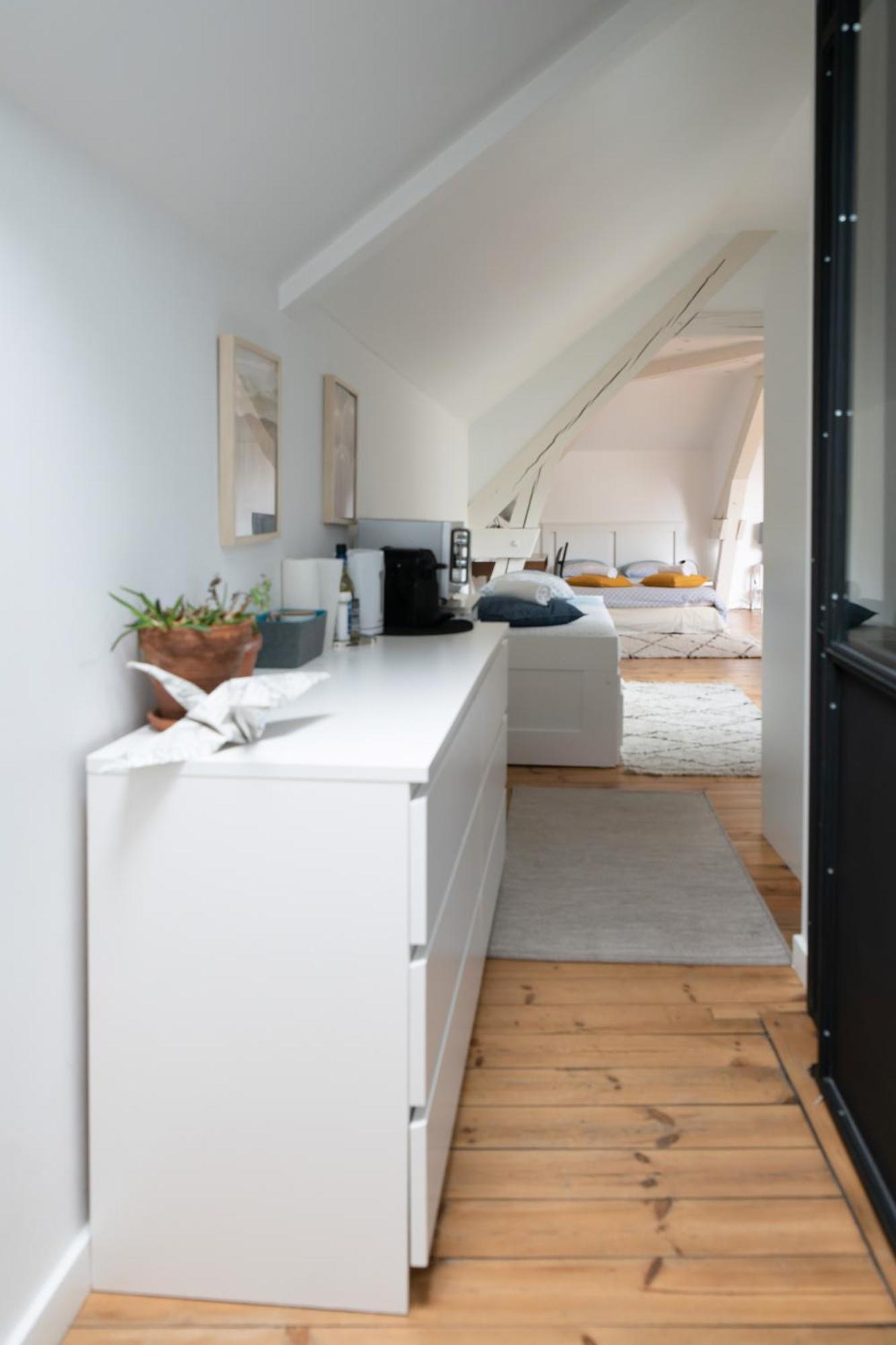 Grande Maison Vichy - Maison Ou Appartements En Centre Ville Стая снимка